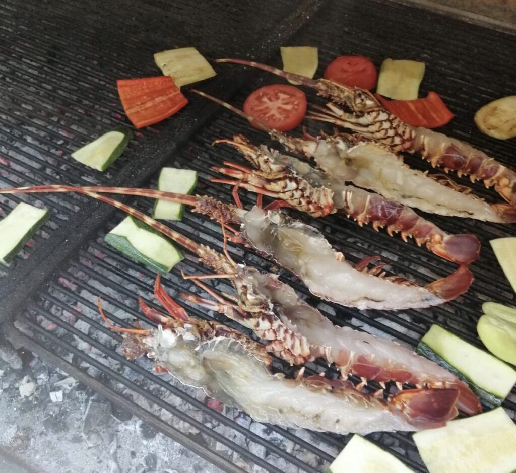 grilled adriatic lobster