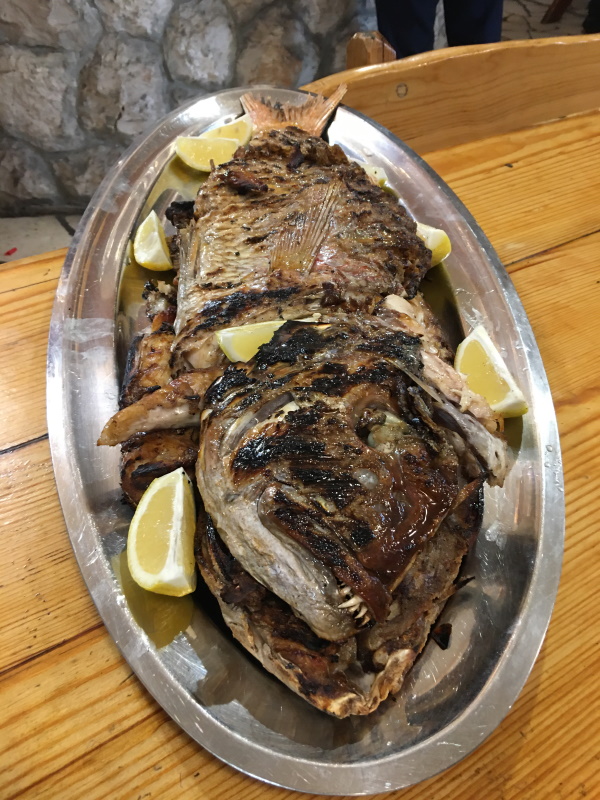adriatic sea bass restaurant trpanj