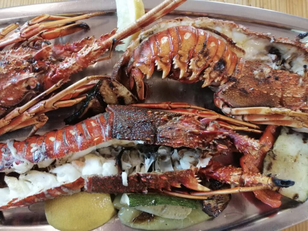 grilled adriatic lobster