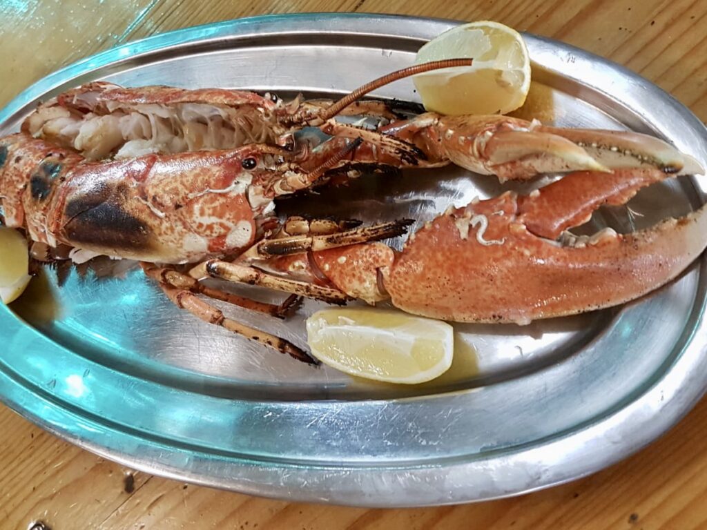lobster konoba skojera