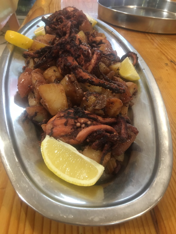 Adriatic Octopus under peka