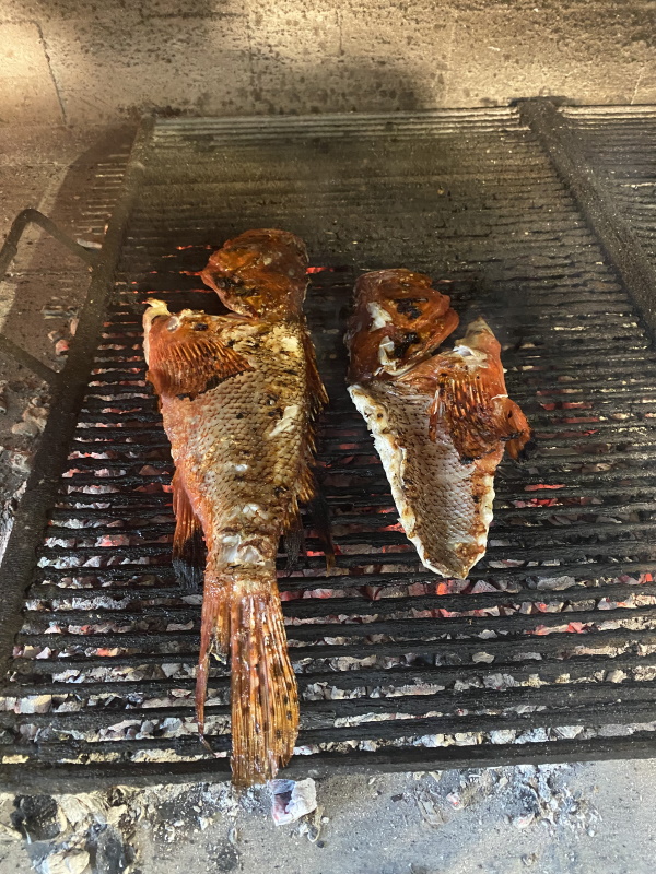 grilled fish platter skojera