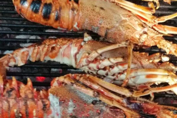 adriatic lobster konoba skojera.