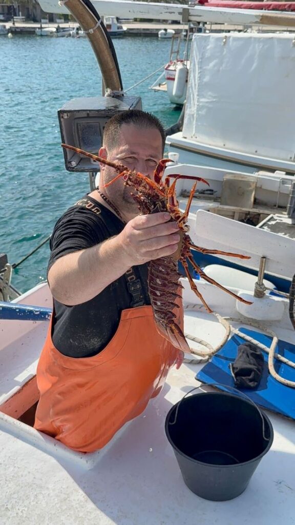 Adriatic Lobster available