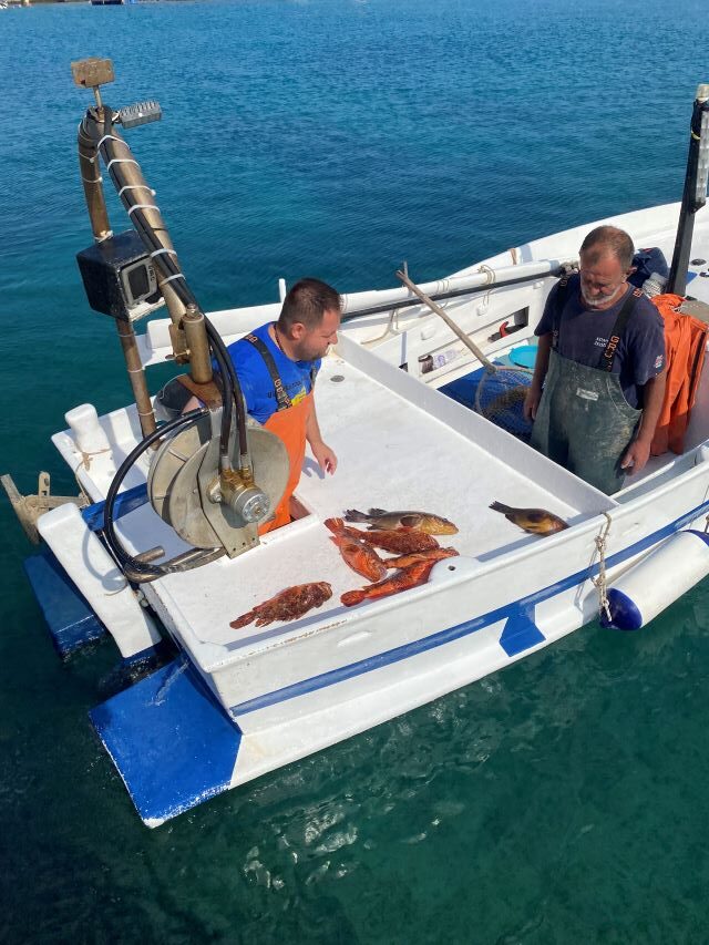 Daily fresh fish