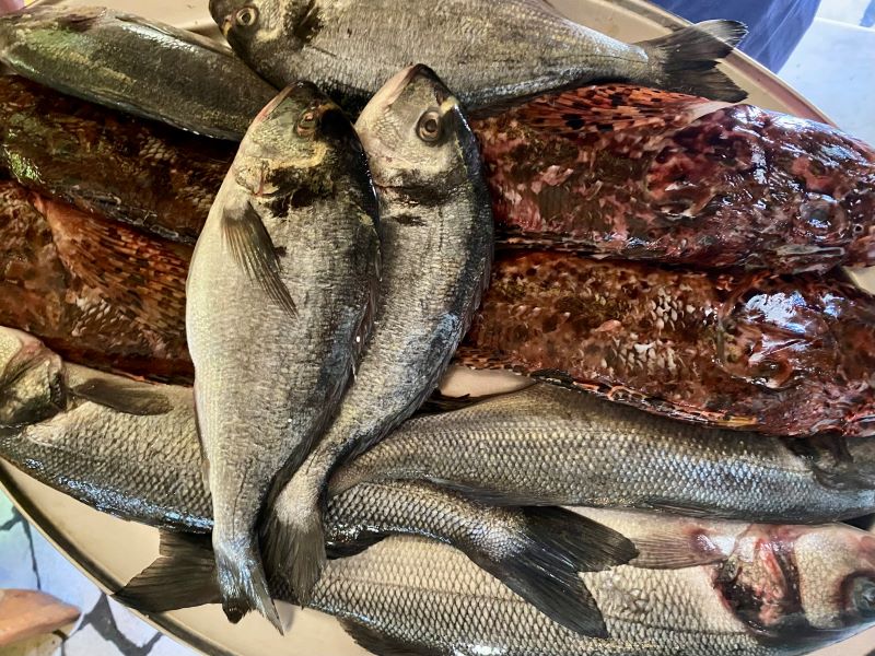 Fresh Adriatic fish