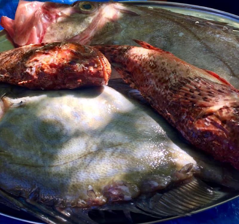 Fresh Adriatic Fish