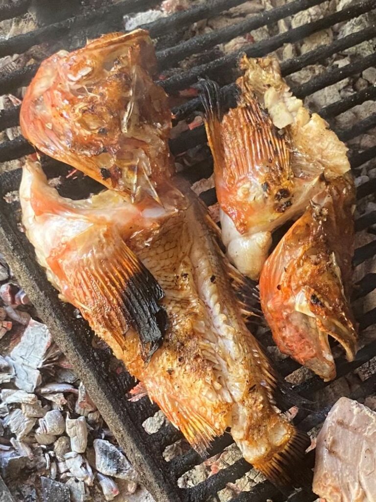 where to eat in trpanj